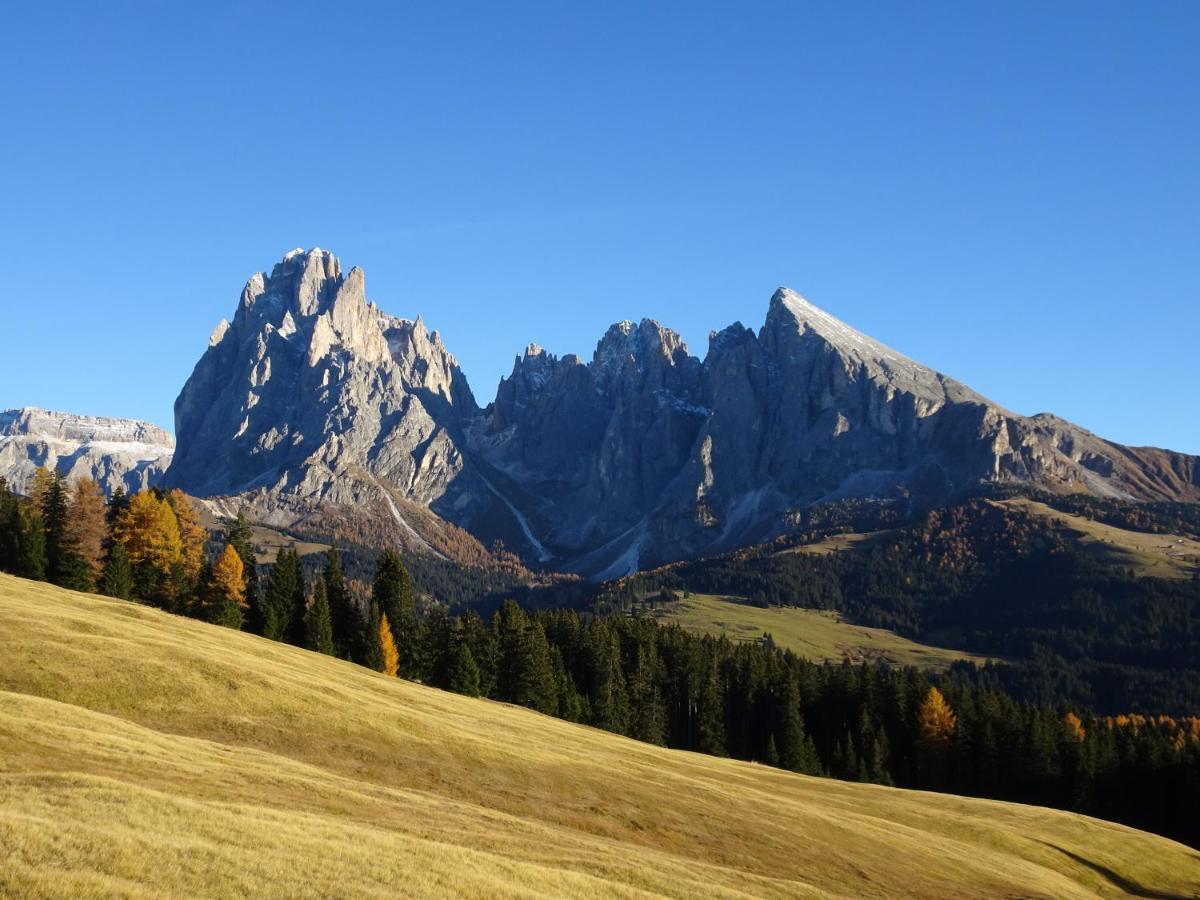 Appartamento Dolomiti Selva di Val Gardena Extérieur photo