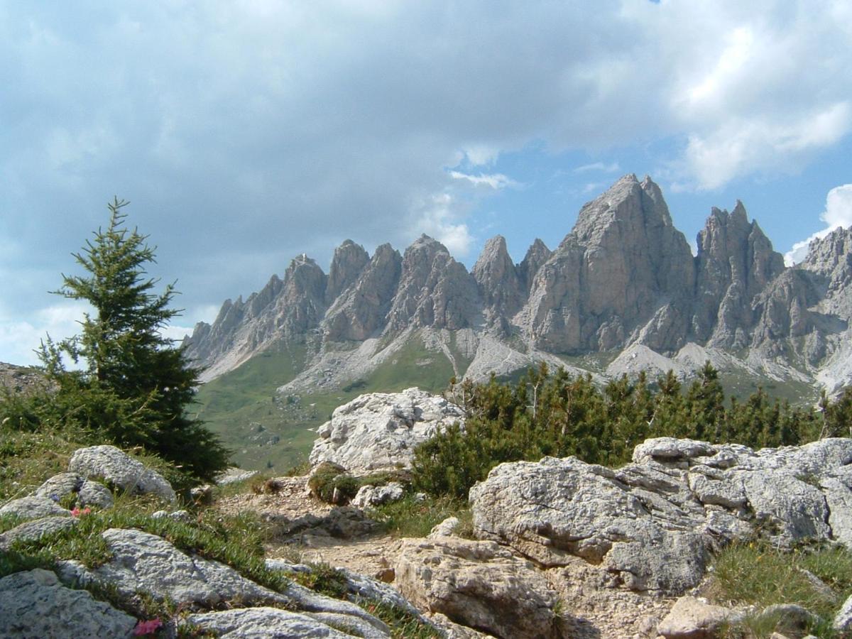 Appartamento Dolomiti Selva di Val Gardena Extérieur photo